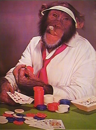 poker-face-monkey.jpg